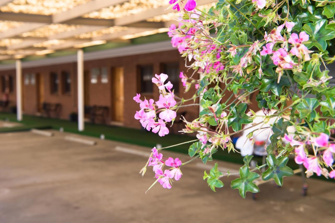 Elm Court Motel Albury Exterior photo